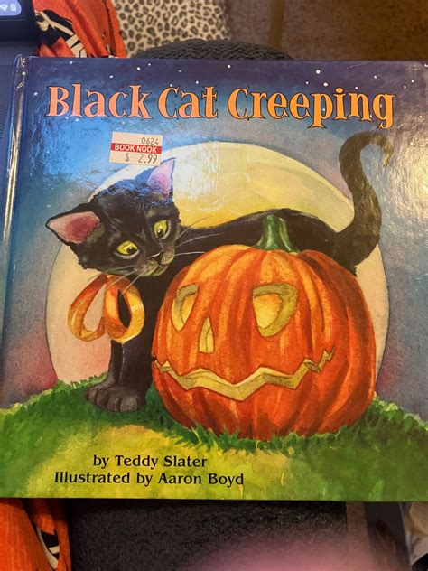 Book Review Black Cat Creeping By Reagan Richard Rose