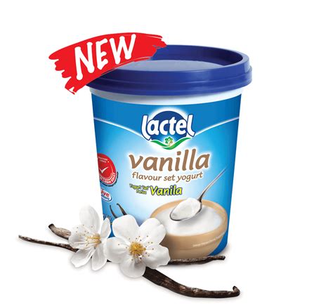 Lactel Natural Set Yogurt Lactel