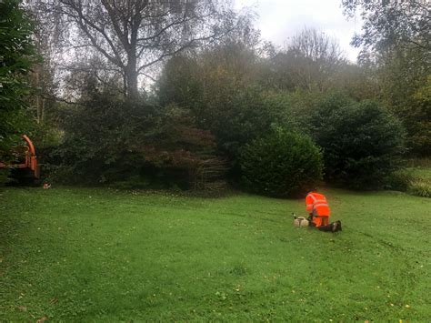 Laurel Bushes Wye Country Services