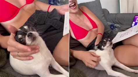 Venezuela y Brasil arrastran a América Latina a la recesión en Infobae