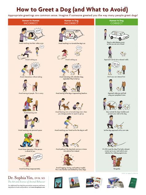 How to Greet a Dog - Distinctive Pet Care Littleton CO