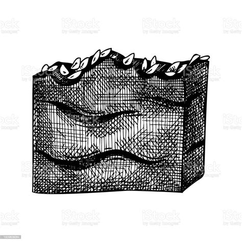 Soap Bar Sketch Stock Illustration Download Image Now Advertisement