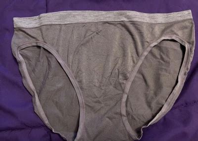 Hanes Women S Pk Comfort Flex Fit Seamless Bikini Underwear Colors May Vary S Target