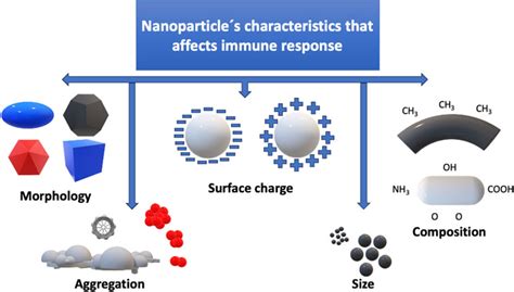 Frontiers Editorial Immunological Response To Nanomaterials