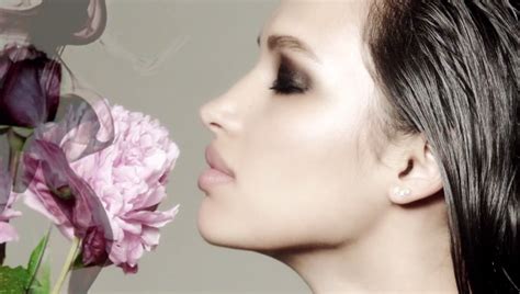 Naked Palette Smoky Mais Uma Da Urban Decay