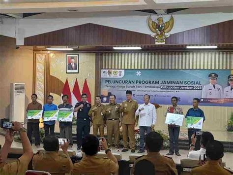 Pemkab Jember Luncurkan Program Bpjs Ketenagakerjaan Untuk Buruh Tani