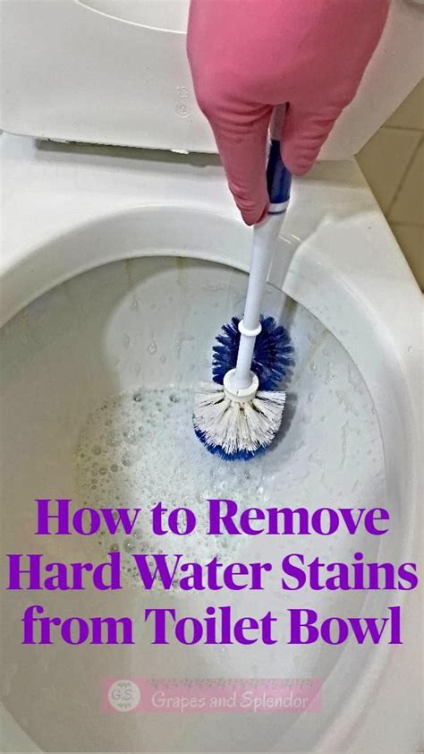 How To Get Rid Of A Toilet Ring Without Scratching The Bowl Artofit