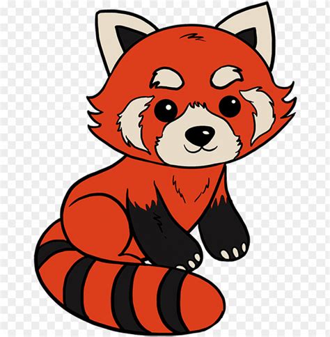 How To Draw Red Panda Red Panda Drawing Easy Step By Ste Png Image