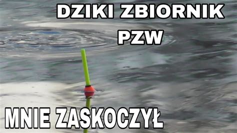 ALE HECA SA TU TAKIE RYBY LEŚNY ZBIORNIK POZYTYWNE MNIE ZASKOCZYŁ