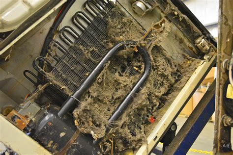 Clean Refrigerator Coils In 3 Easy Steps Shawna Coronado