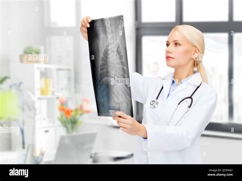 veterinarian with animal's x-ray at vet clinic Stock Photo - Alamy