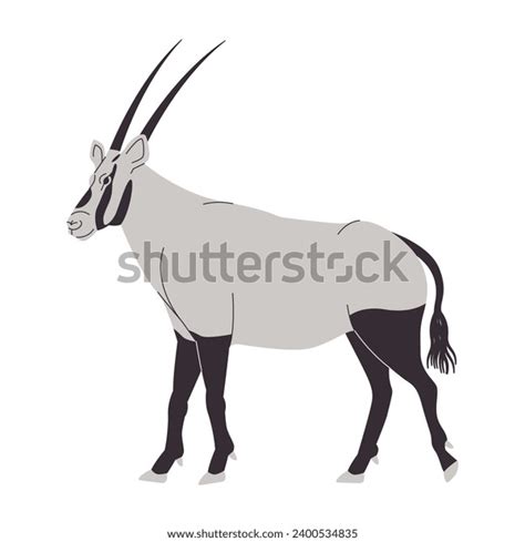 8 Oryx Leucoryx Stock Vectors And Vector Art Shutterstock