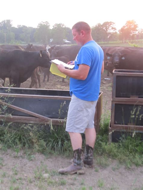 For The Love Of Beef Cow Sex