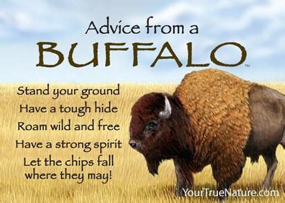 Buffalo Quotes ShortQuotes Cc