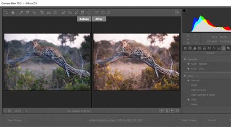 Купить Adobe Photoshop Lightroom лицензию в интернет-магазине Softkey.UA