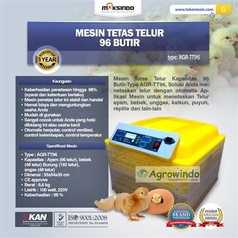 cara membuat mesin tetas telur 2