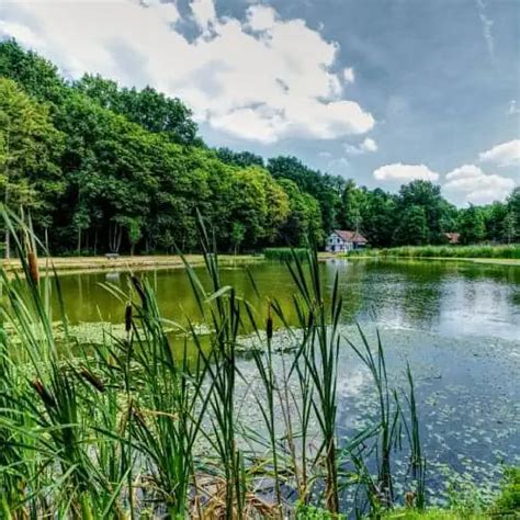 Pond vs. Lake: The Definitive Guide to Size, Depth, and More - Hunter Games Magazine