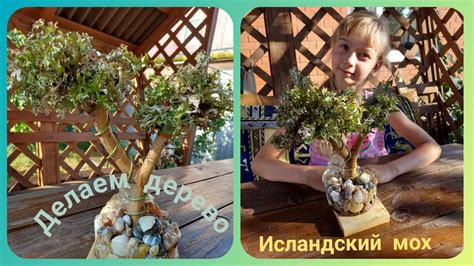 Делаем дерево из ИСЛАНДСКОГО МХА/ЦЕТРАРИИ - YouTube