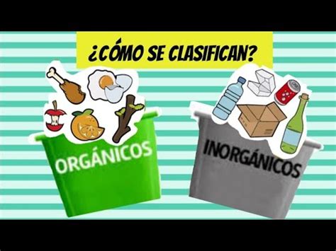 Desechos orgánicos e inorgánicos YouTube