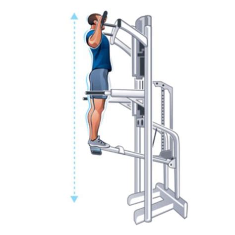 Assisted Pull Up Machine By Maranda A Exercise How To Skimble