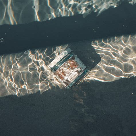 Sea Moss vs Irish Moss vs Other Seaweeds: What’s the Difference
