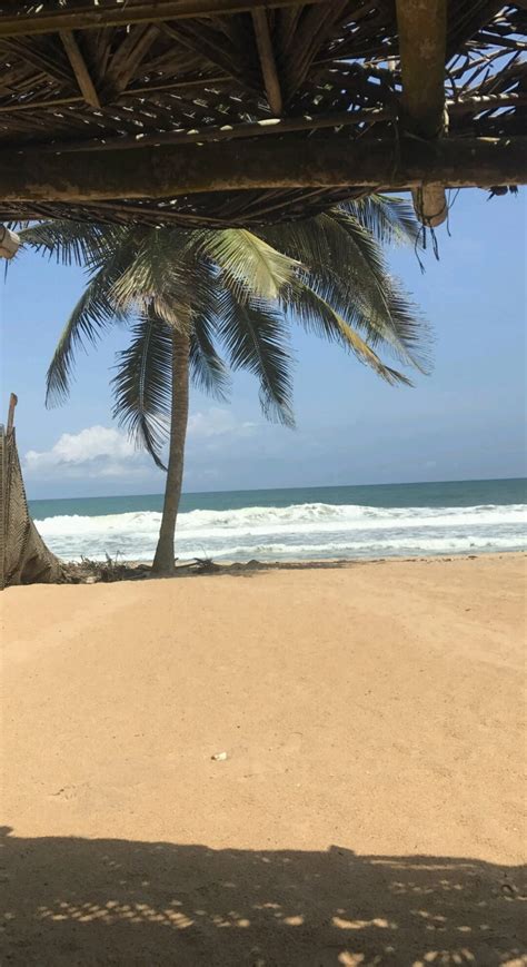 Handjob Shemale Porn Videos Xhamster