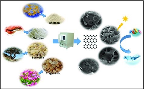 scheme  schematic illustration  synthesis procedure