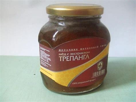 Трепанг на меду: от чего лечит, как принимать и противопоказания