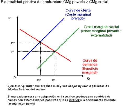 Las Externalidades Y El Medio Ambiente Externalidades Positivas