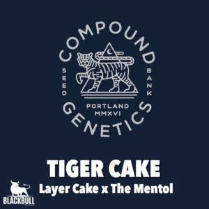 Tiger Cake Compound Genetics Cannabis Seeds Blackbuffalo