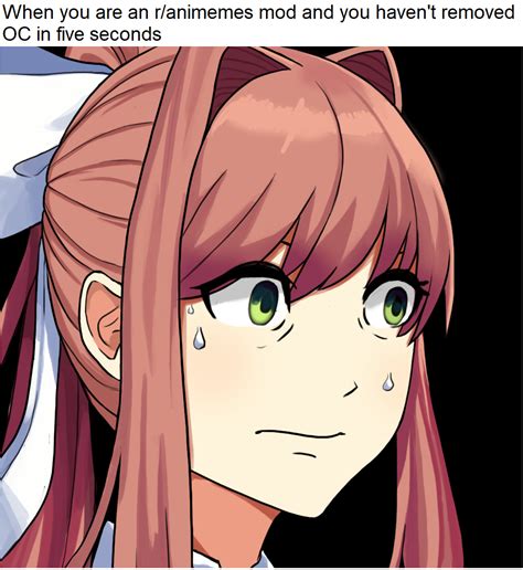 This Isn T Your Average Gay This Is Advanced Gay R Animemes