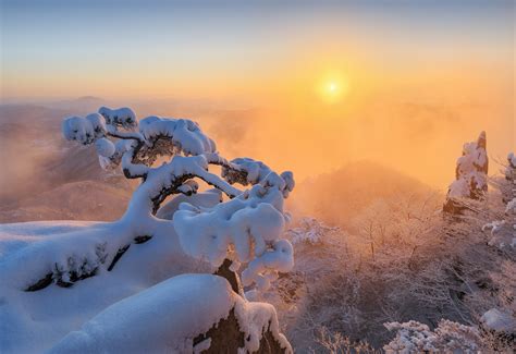 Best South Korea Images On Pholder City Porn Most Beautiful And Room Porn