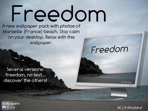 Freedom Wallpaper By Mordinateur On Deviantart