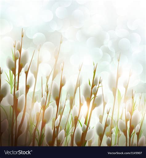 Spring Easter Pussy Willow Royalty Free Vector Image