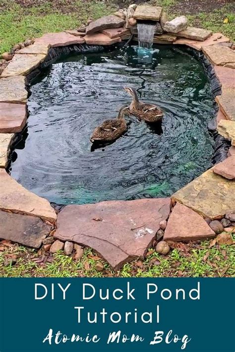 Diy Duck Enclosure Ideas Build A Duck Pen Duck House Diy Duck Pens