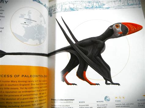 Yahoo オークション 洋書 恐竜時代の翼竜の飛翔 図録PTEROSAURS F