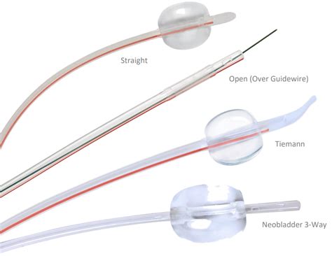 Catheter Guidewire Traduction At Howard Dawson Blog