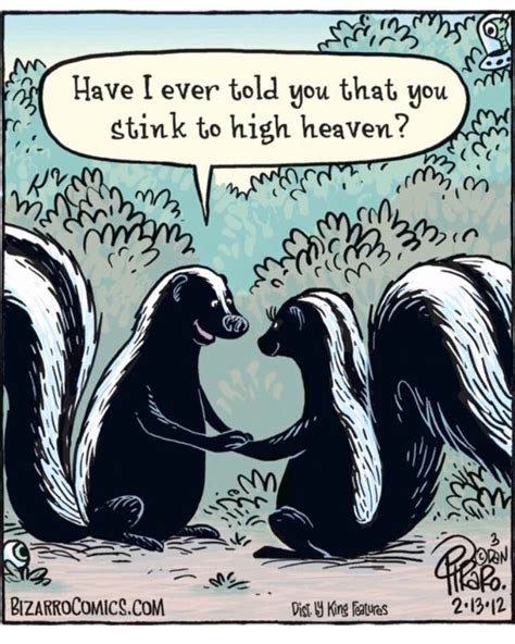 Pin By Anne J On Funny Bizarro Comic Fun Comics Funny Cartoons