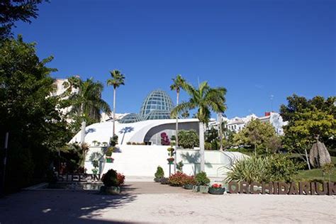 Estepona Orchid House, a modern botanical garden plus a waterfall ...