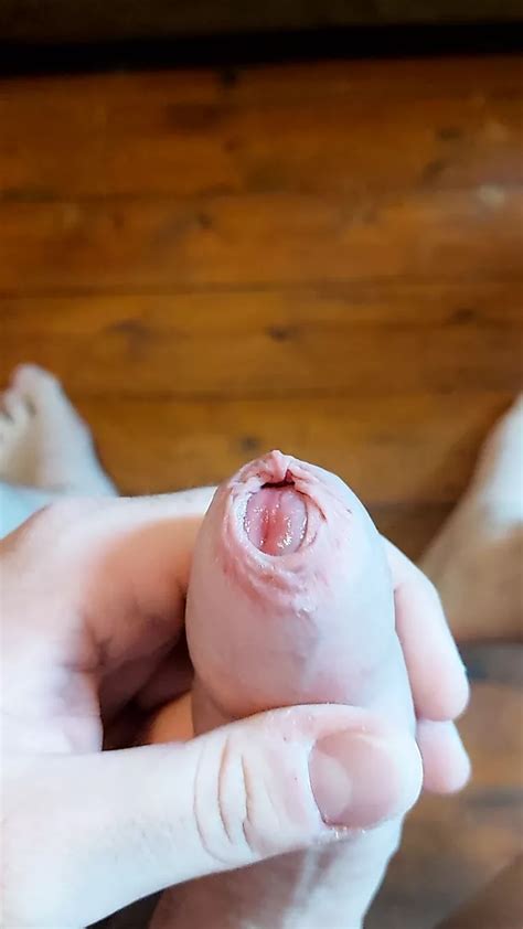 Forskin Free Gay Porn Video 56 XHamster XHamster