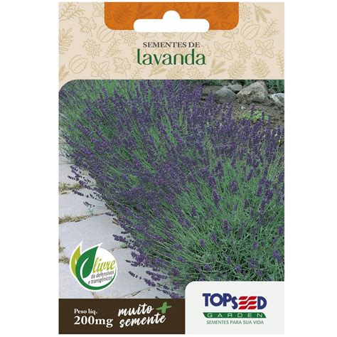 Semente Lavanda - Sementes de Lavanda TOPSEED | Shopee Brasil