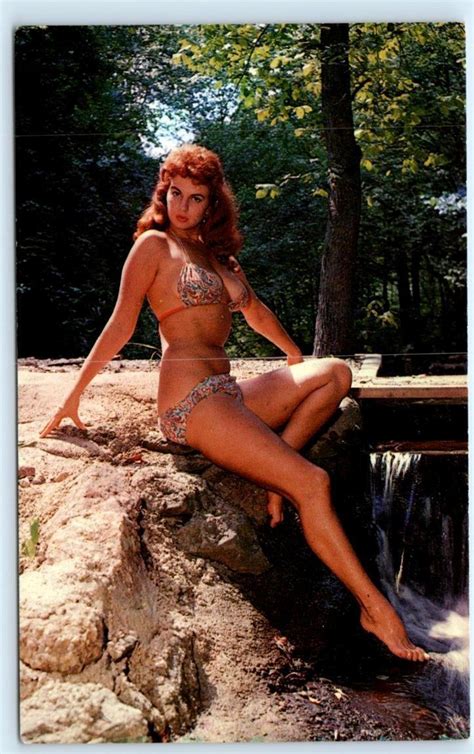 SEXY RISQUE BIKINI Model By Creek Don T Go Near The Water C1960s Postcard Other Unsorted