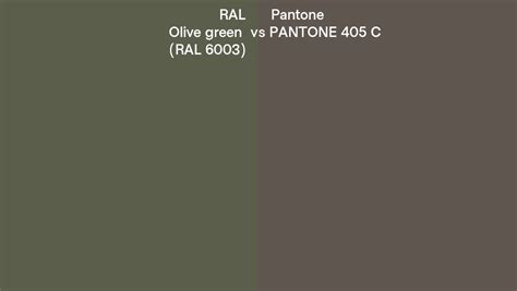 Ral Olive Green Ral 6003 Vs Pantone 405 C Side By Side Comparison