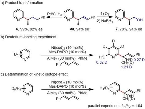 南开大学叶萌春课题组jacs： Ni‒al双金属催化吡啶与13 二烯的对映选择性c2‒h烷基化 元素有机化学国家重点实验室