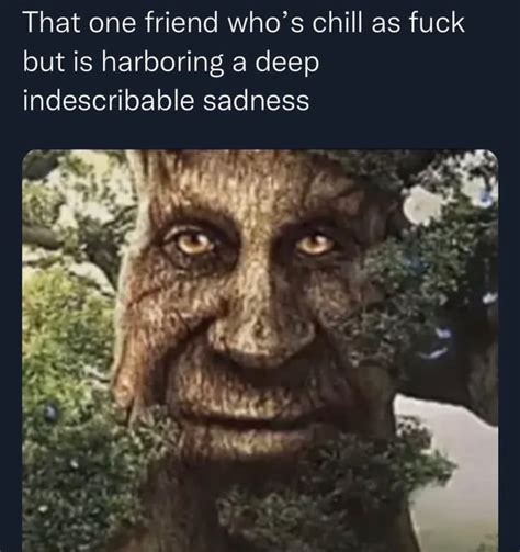 That One Friend Who S Chill As Fuck But Is Harboring A Deep Indescribable Sadness Ifunny