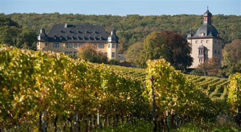 Schloss Vollrads ⋆ Rheingau Die Weinregion