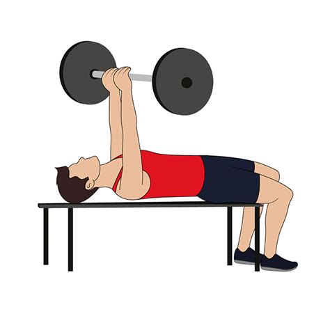 close grip bench press fitnessschemasnl