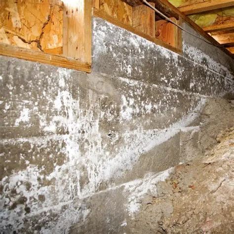 crawl space mold removal  northern virginia