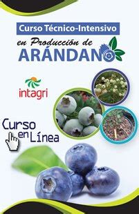 Curso Virtual Fertirrigaci N En El Cultivo De Ar Ndano Inicio