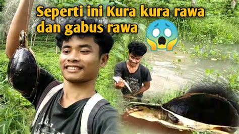 Niat Mancing Gabus Rawah Ehhh Malah Dapat Kura Kura Yang Lucu